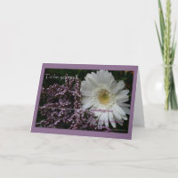 Inspirational greeting cards bulk discount