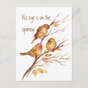 Inspirational His Eye is on the Sparrow, Postcard