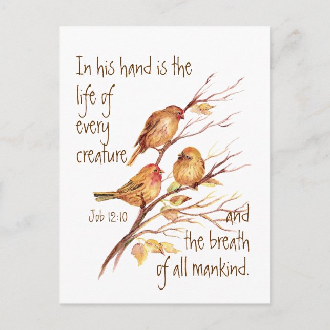 Inspirational Life of Every Creature Quote Postcard (Front)