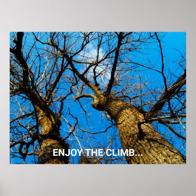 INSPIRATIONAL NATURE PHOTO ART POSTER (Front)