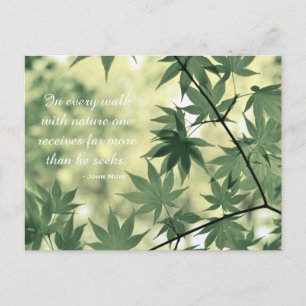 Inspirational Nature Quote Postcard