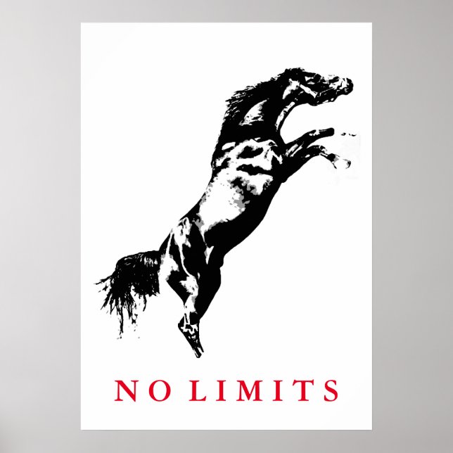 Inspirational No Limits Black White Horse Artwork Poster (Front)