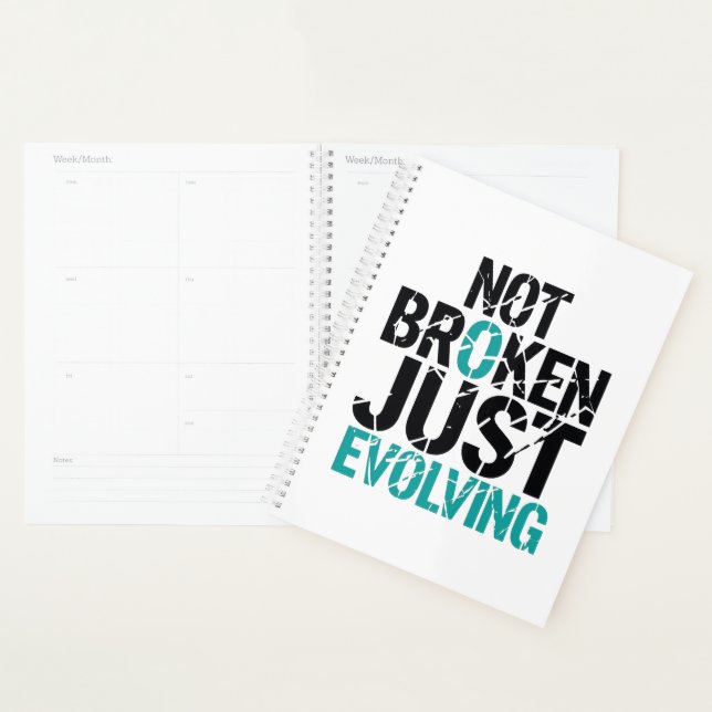 Inspirational Not Broken Just Evolving Planner (Display)