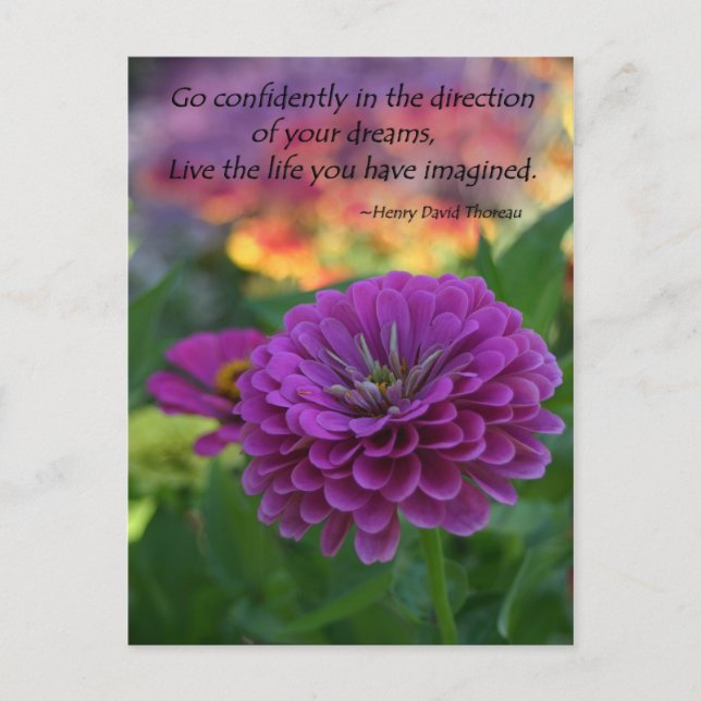 Inspirational postcards bulk discount Zinnia (Front)