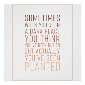 Inspirational Poster 