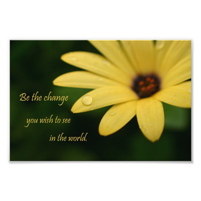 Inspirational quote daisy flower photograph print (Front)