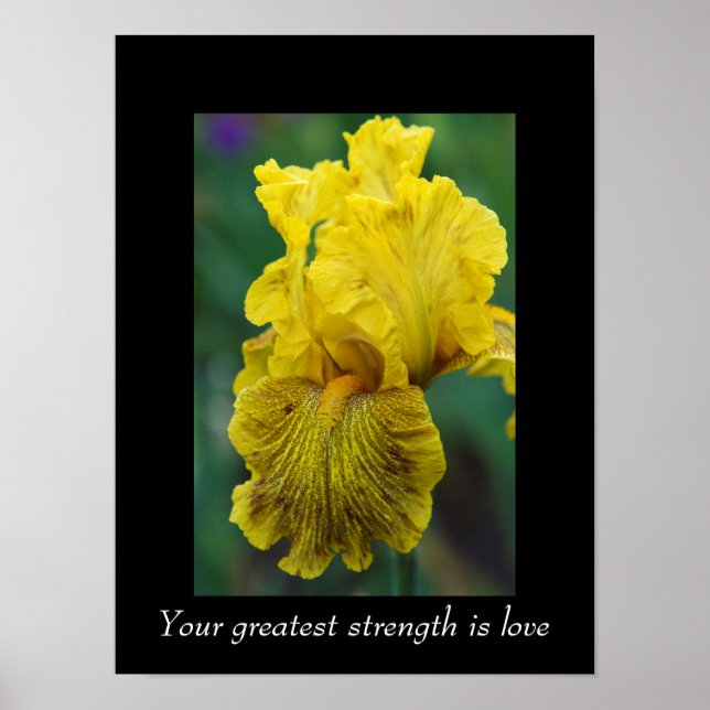 Inspirational Quote Iris Flower Poster (Front)