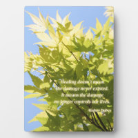 inspirational quote over nature photo - 