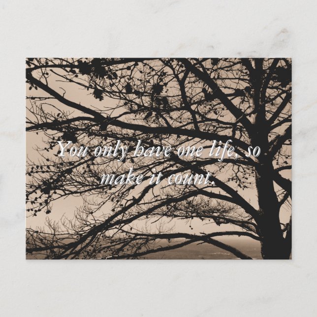 Inspirational Quote Photograph Postcards (Front)
