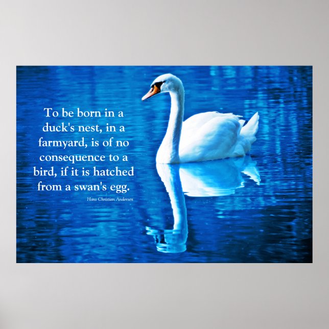 Inspirational Quote Swan Reflection Blue & White Poster (Front)