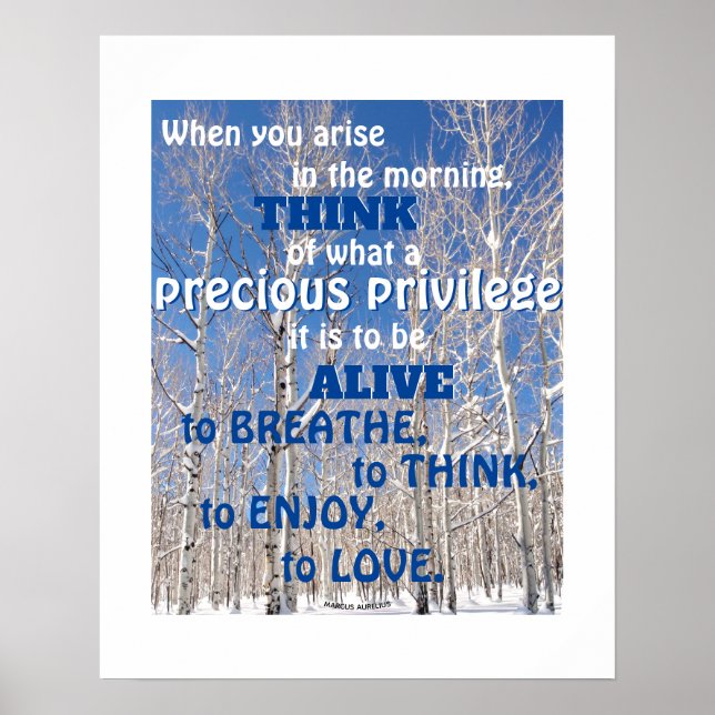 Inspirational Quote Towering Aspens In Snow Photo Poster (Front)