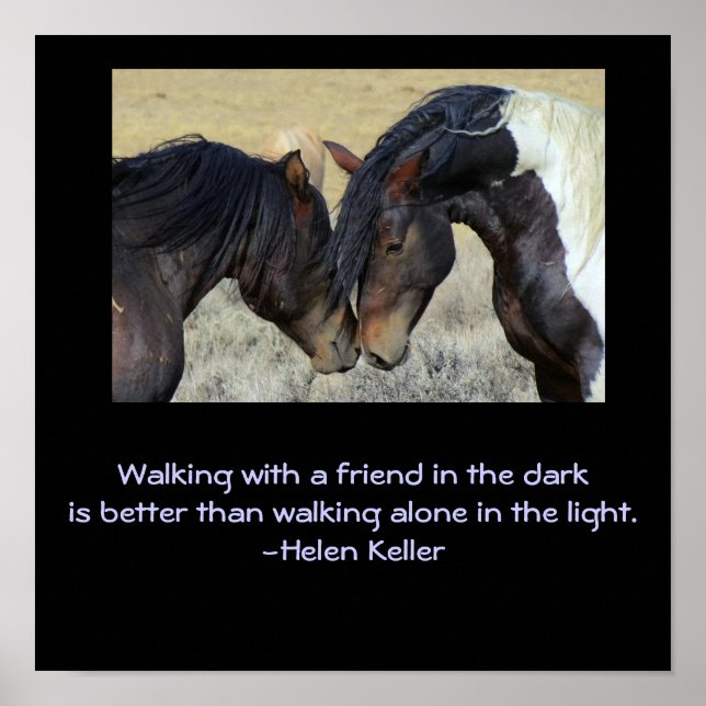 Inspirational Quote.Two Brown Wild Horses Nuzzling Poster (Front)