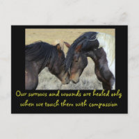 Inspirational Quote. Two Wild Horses Nuzzling