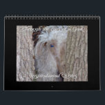 Inspirational Quotes Goat Calendar 2013<br><div class="desc">On a Personal Note.. the Gorgeous Angora Buck on the Cover of this Calendar (Handsome) lost his battle with Cancer November 27th 2010 - His loss leaves a HUGE empty spot in my heart. Goat Calendar with Inspirational Quotes on each page that accompany the beautiful photo of the goat of...</div>