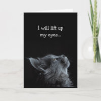 Inspirational  Scripture Bible Verse Encouragement