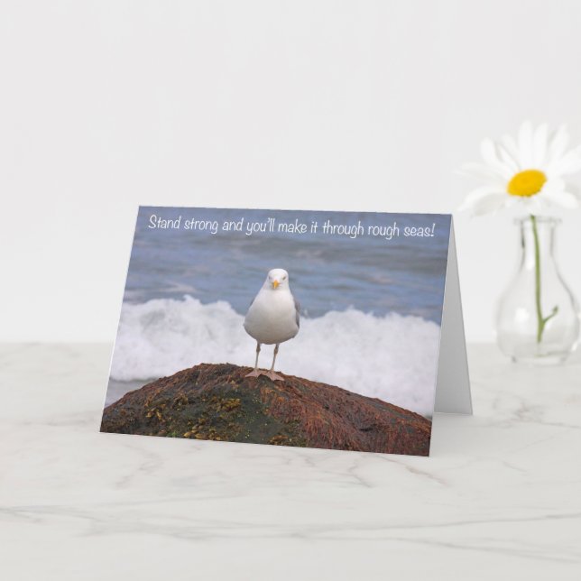 Inspirational Seagull Get Well Card (Small Plant)