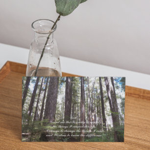 Inspirational Serenity Prayer Sunlit Forest Blank Card