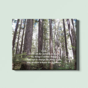 Inspirational Serenity Prayer Sunlit Forest Canvas Print
