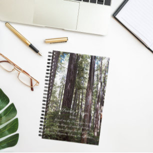 Inspirational Serenity Prayer Sunlit Forest Notebook