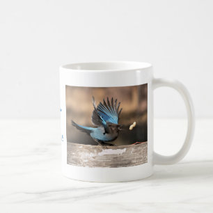 Inspirational Stellar Jay Mug