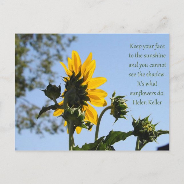 Inspirational Sunflower Postcard (Front)