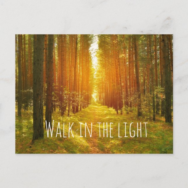 Inspirational Walk in the Light Bible Verse Postcard (Front)