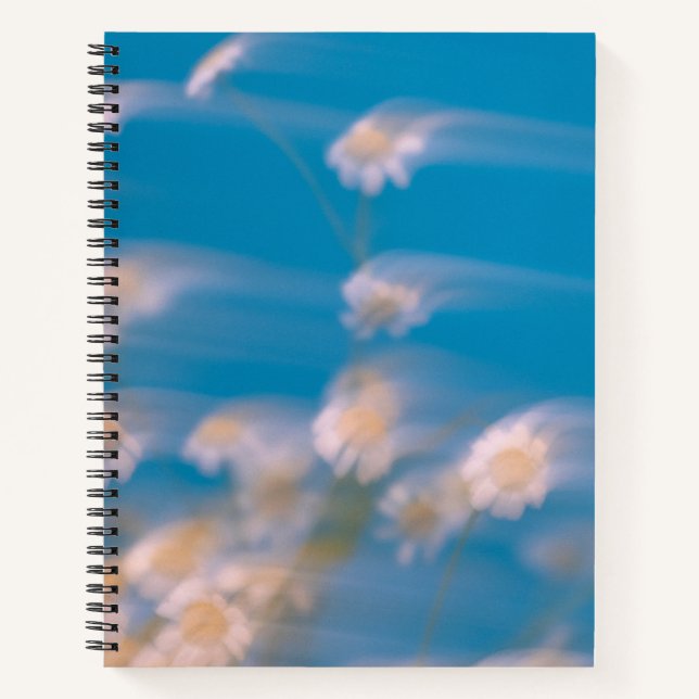  Inspire Your Thoughts & Goals Notebook (Front)