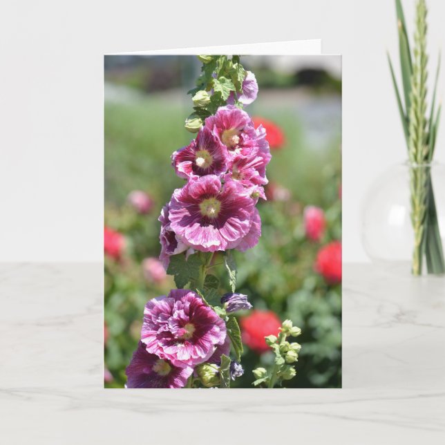 Inspired Hollyhock Flowers Card (Front)