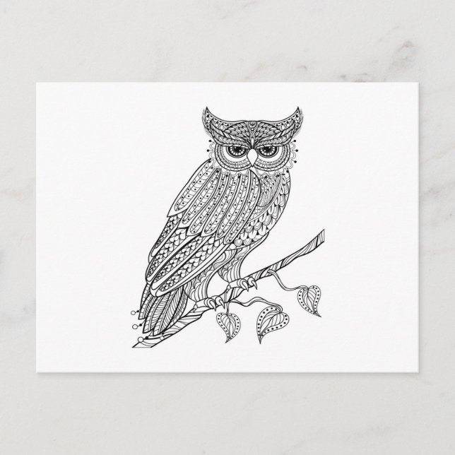 Inspired Magic Owl Sitting On Branch Postcard (Front)