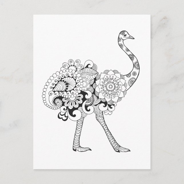 Inspired Ostrich Postcard (Front)