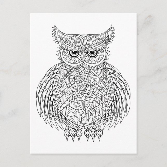Inspired Owl Bird Totem Postcard (Front)