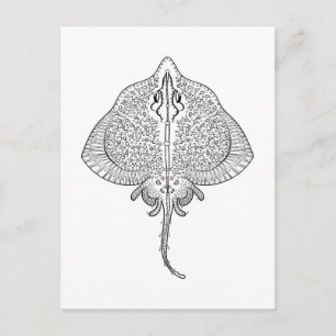 Inspired Stingray Totem Postcard