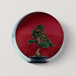 Inspiring Bonsai tree 6 Cm Round Badge