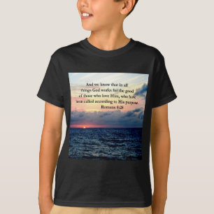 INSPIRING ROMANS 8:28 DESIGN T-Shirt