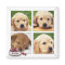 instagram dog photo magnets