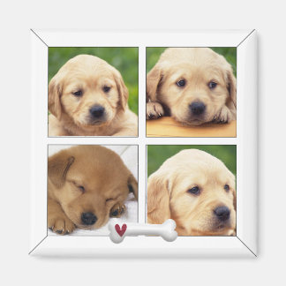 instagram photo dog magnets