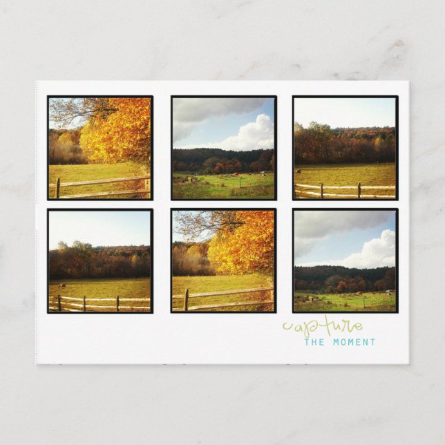 instagram photo post cards (Front)