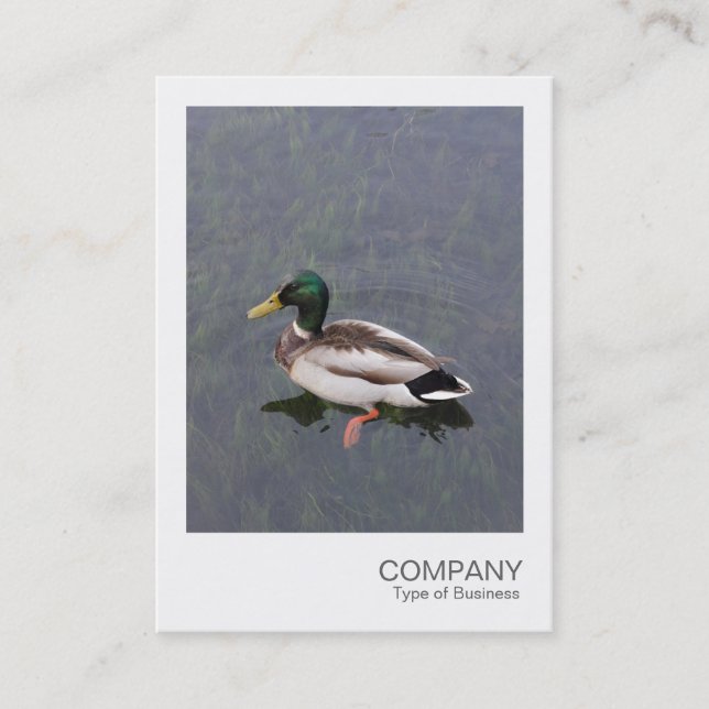 Instant Photo 012 - Mallard Duck Business Card (Front)