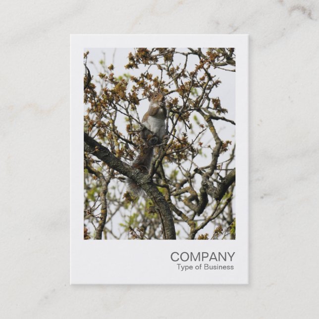Instant Photo 01 - Squirrel in a Tree Business Card (Front)