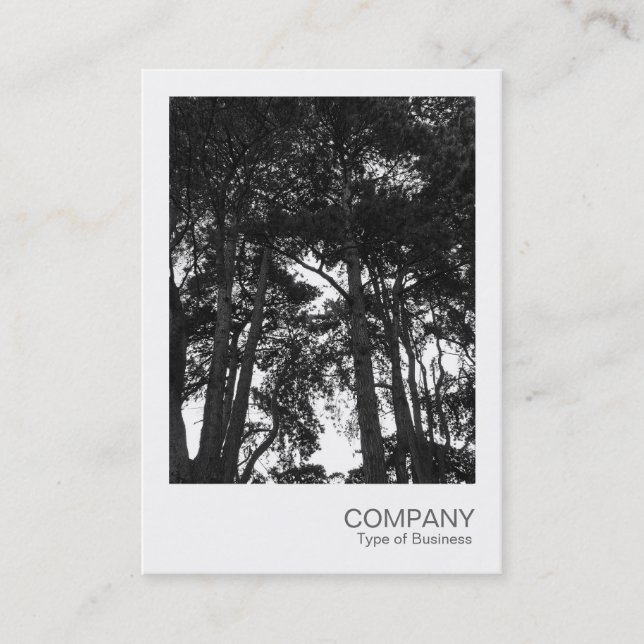Instant Photo 032 - Tree Canopy Business Card (Front)