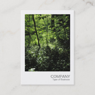 Instant Photo 040 - Spring in the Woods Business Card