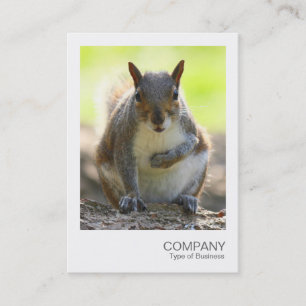 Instant Photo 044 - Grey Squirrel Business Card