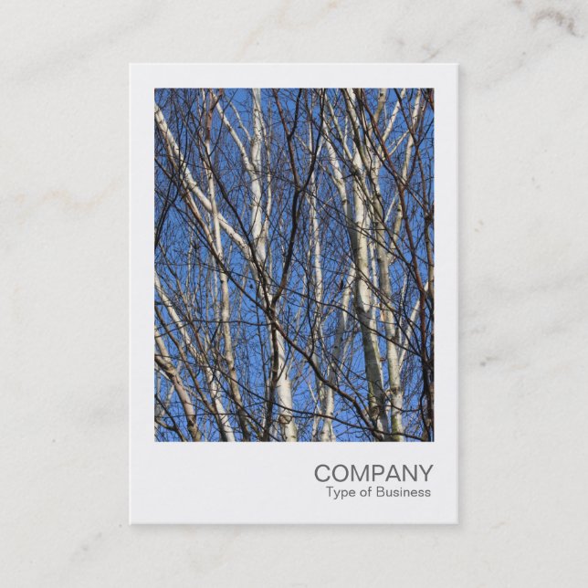 Instant Photo 05 - Birch Branches Business Card (Front)