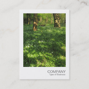 Instant Photo 073 - Spring in the Woods Business Card