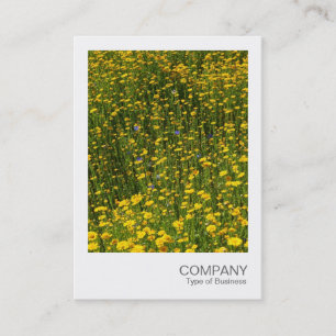 Instant Photo 078 - Bed of Yellow Daisies Business Card