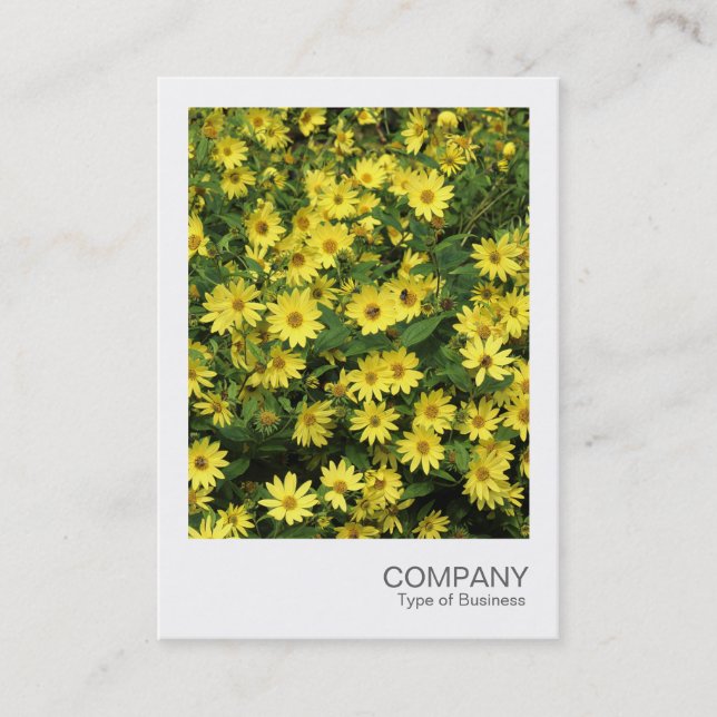 Instant Photo 084 - Yellow Daisies Business Card (Front)