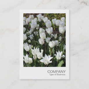 Instant Photo 090 - White Tulips Business Card