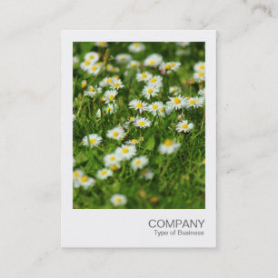 Instant Photo 091 - Daisy Meadow Business Card
