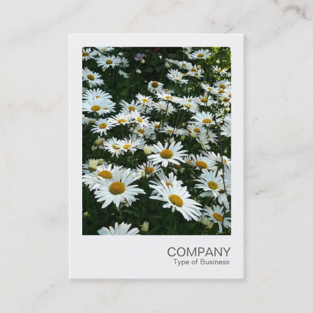 Instant Photo 09 - Shasta Daisy Business Card (Front)