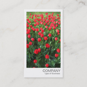 Instant Photo - Bed of Red Tulips 01 Business Card